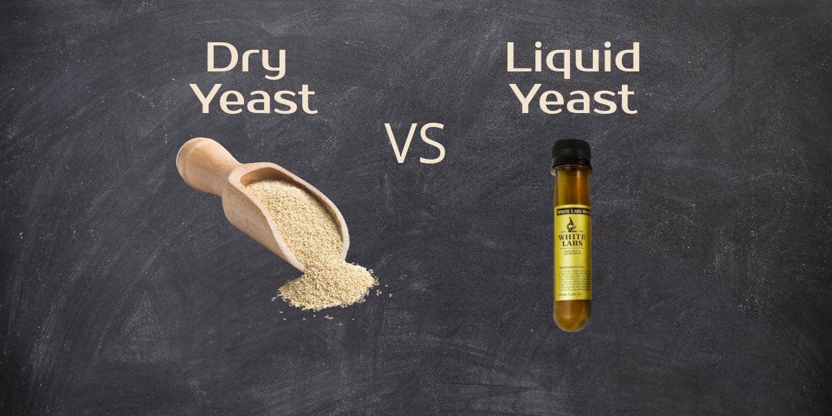 dry yeast vs liquid yeast